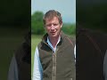 How does the sales process of a racehorse work? #TrackTalk | #Shorts #Ascot