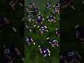 Absolute cinema😮‍💨           #rugby  #sport                    #reels  #tackle