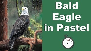 How to Draw a Bald Eagle in Pastel screenshot 5