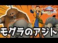 『いたずらもぐら』のリアクション可愛すぎる! #9【ドラクエⅧ 空と海と大地と呪われし姫君】