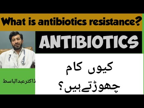 Video: Antibiotikaresistente Infektioner Hos Hunde - MRSA Hos Hunde