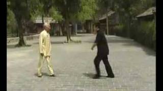 Baguazhang Bagua Internal Eight Trigram Palm