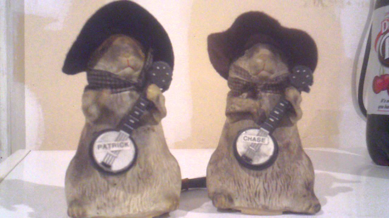 Dueling banjo Hamsters YouTube