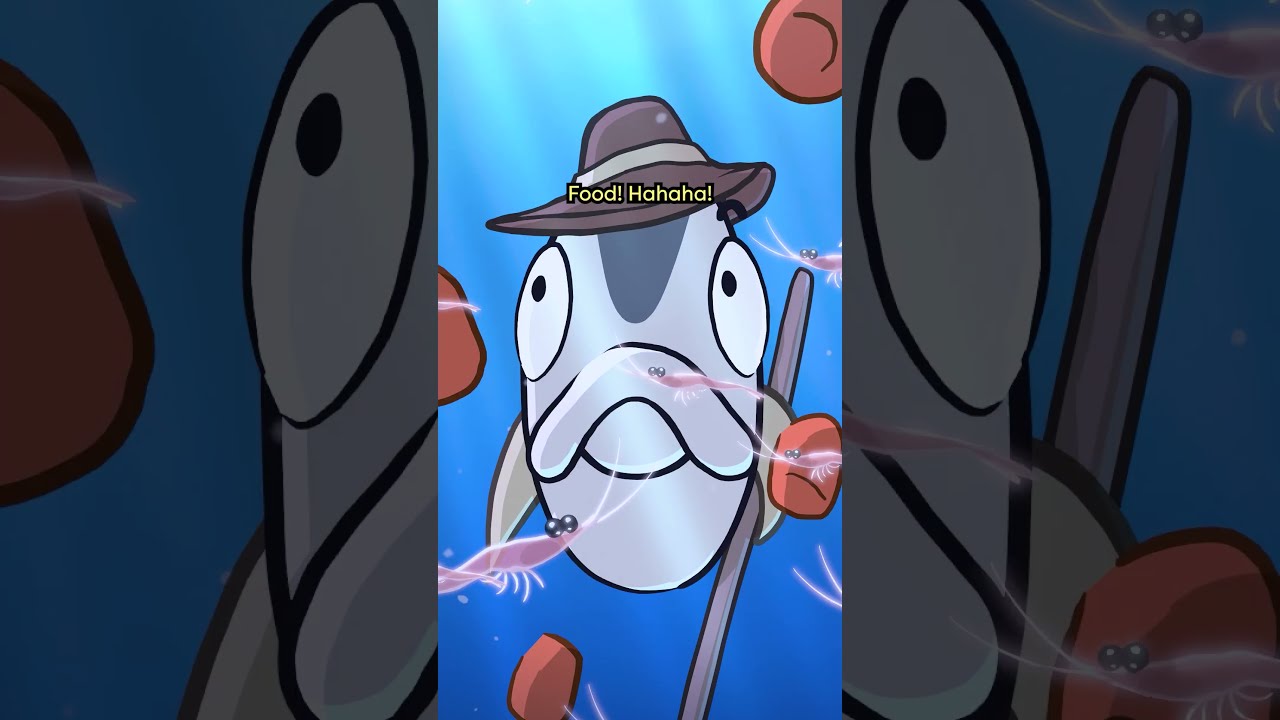 Blue Whale Animation Original Cartoon