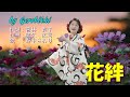 「花絆」/野中さおり Japanese Taishogoto 大正琴  /Gerobikki