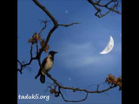 Fethi Abdelkader Wrida Recdaɣ K A ṭṭir Tadukli Org