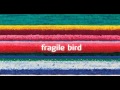 City and Colour - Fragile Bird