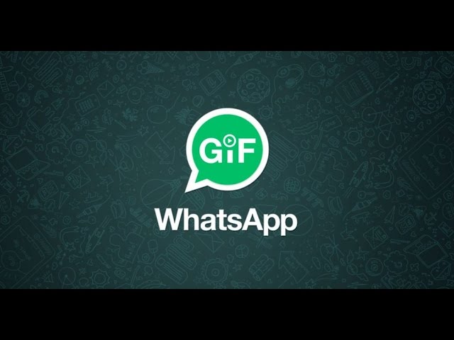 Como converter vídeos recebidos no WhatsApp para GIF - Olhar Digital