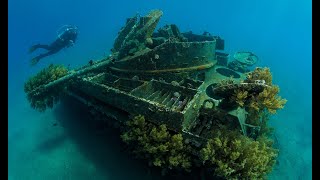 Dive in Aqaba: 360 Video Tank screenshot 3