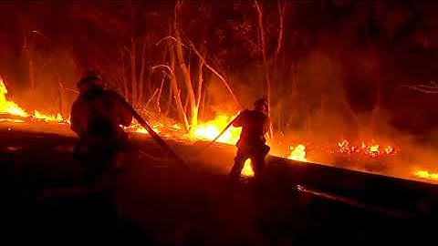 Kinetica: Data Analytics Platform for the Public Sector