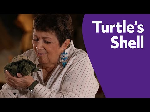 Ep1: How The Turtle Got Its Shell