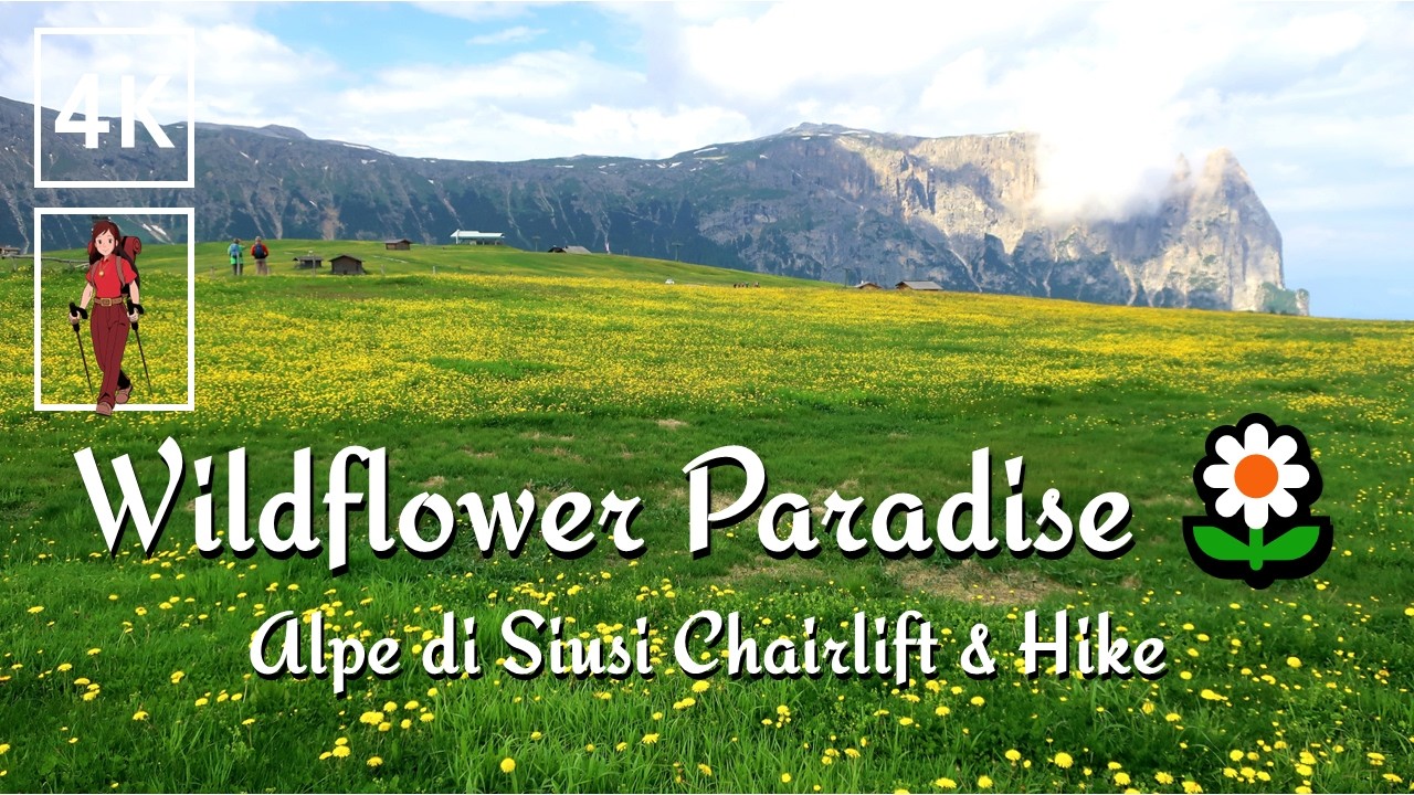 🇮🇹 Alpe di Siusi Hike | Wildflower Trek in the Dolomites + Scenic Chairlift Ride | 4K UHD