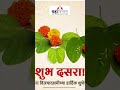 Vijaya Dashami Dasarra Upay
