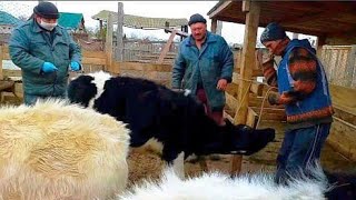 Видео ВОПИЮЩАЯ НЕСПРАВЕДЛИВОСТЬ!????с кем НАС СРАВНИВАЮТ? Но ДЕНЕГ НЕ ДАЮТ! (автор: Диана Строгая)