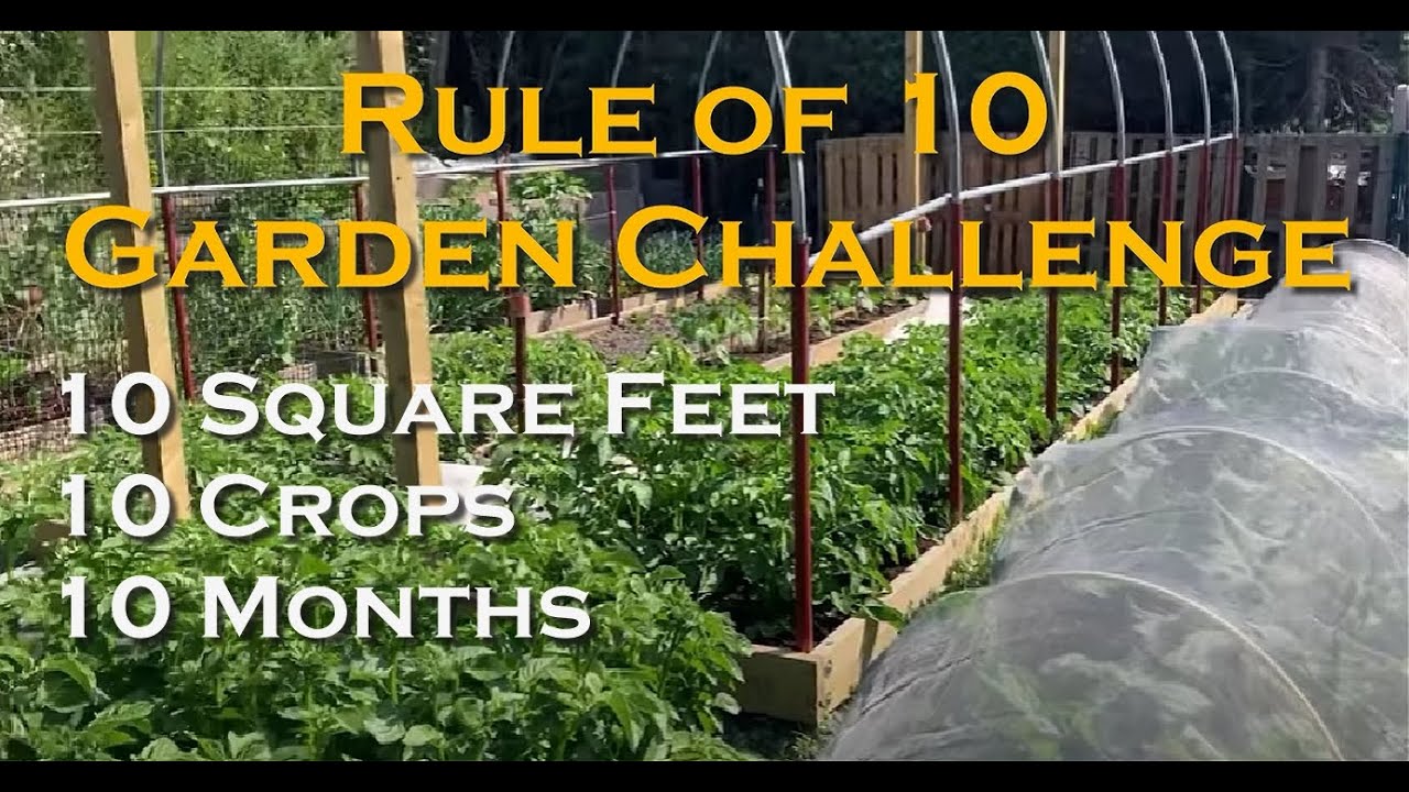 Rule of 10 Garden Challenge - YouTube