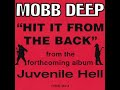 Mobb Deep Hit It From The Back mp3