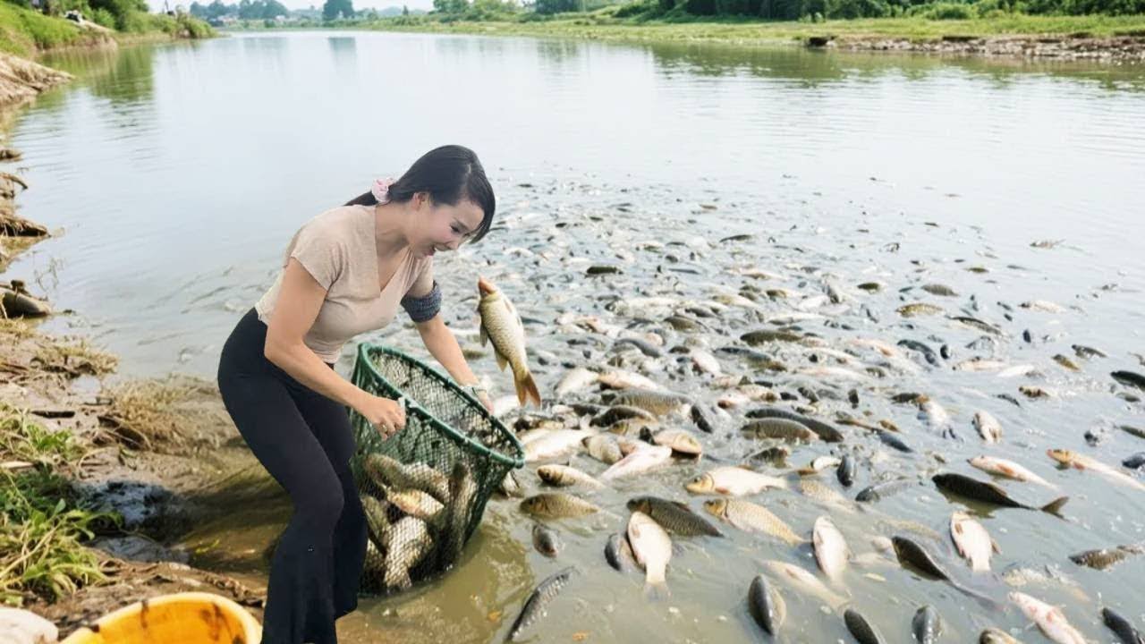 美女包下一口老鱼塘，一网撒下去，直接渔获满满，下雨天都挡不住捕鱼的乐趣！#农村生活#捕鱼