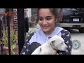 Hope Rescues Pit Bull From Abandoned House