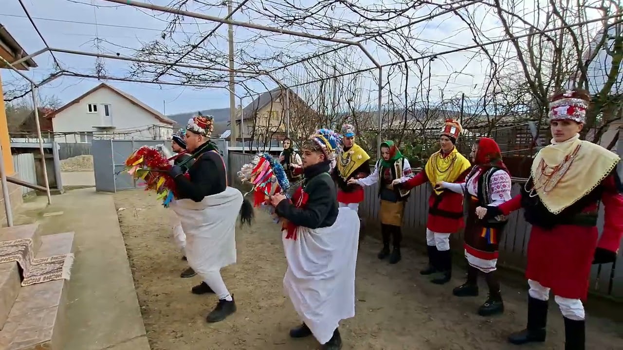 Căiuți și Roșiori de la Gura-Badilitei2️⃣0️⃣2️⃣6️⃣🔝💯❤️