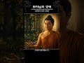 [부처님의생애] 사왓티의 상인 수닷따