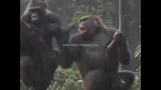 Sorry Nah trending viral subscribe fanny