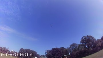 Blade 450x, gentle 3d flight