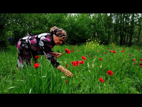 Kənddə bir gün, Spätzle-Almaniya mətbəxi, Lalə Bağları