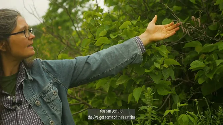 Diversity and Growth: The MSU Edible Forest Garden, Student Organic Farm and Training Program