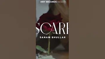 Scarf | Sanam Bhullar | Deol Harman | HNY Records | Latest Punjabi Songs 2022