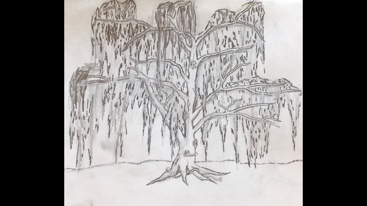 How to Draw A Tree: Weeping Willow - YouTube