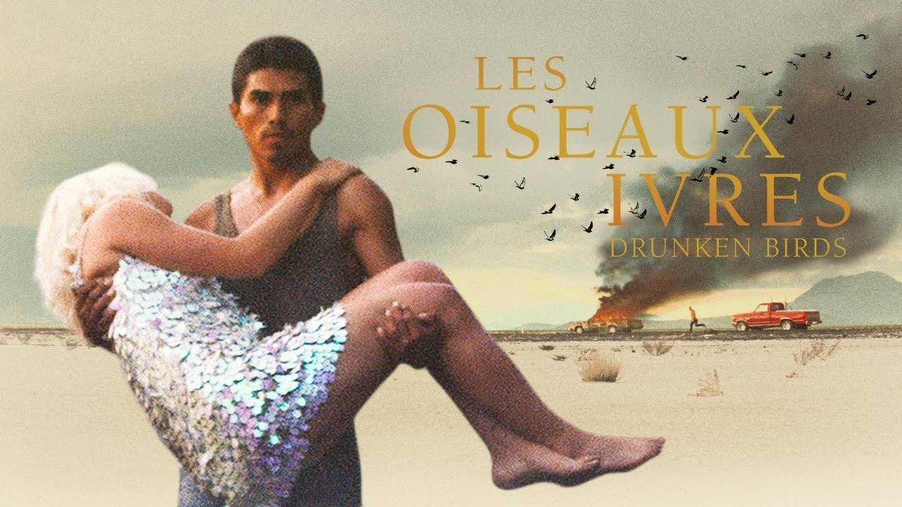 LES OISEAUX IVRES | Bande-annonce - YouTube