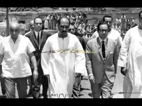 مصريتنا  هى الحل