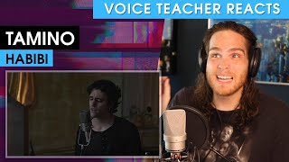 Voice Teacher Reacts to Tamino - Habibi (Live)