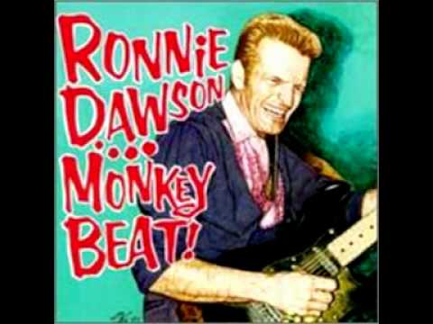 Ronnie Dawson - Down In Mexico (The Coasters Rockabilly Cover)