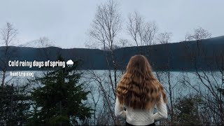 Seward AK📍|  ocean sounds | Moss forest | water falls