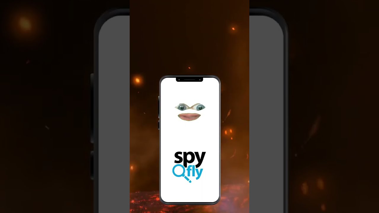Reasons Why You Need To Use SpyFly To Look Up Someones Public Records Reasons Why You Need To Use SpyFly To Look Up Someones Public Records