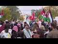 Community members gather for Pro-Palestine protest on the New Haven Green