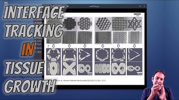 [ParaView Postprocessing 8] Introducing interface tracking of tissue growth models