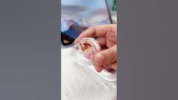 The lovely world inside a keycap!