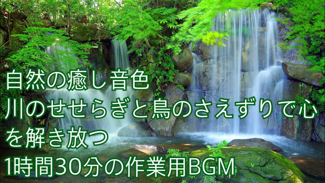 自然の癒しの音色：川のせせらぎと鳥のさえずり【1時間30分の作業用BGM】@yuzuking820 - YouTube
