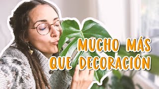 Decoración alucinante con plantas INCLUSO si se te dan fatal