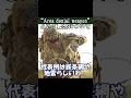 Area denial weaponという概念について