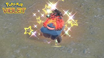 Shiny Carkol + Evolving Into shiny Coalossal! | Pokémon Scarlet And Violet