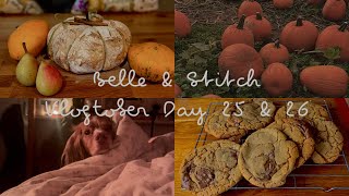 Belle & Stitch - Vlogtober Day 25 & 26 ♥︎