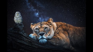 Under Construction WordPress Plugin. Video will be shown on the Coming Soon, Updating Website page.