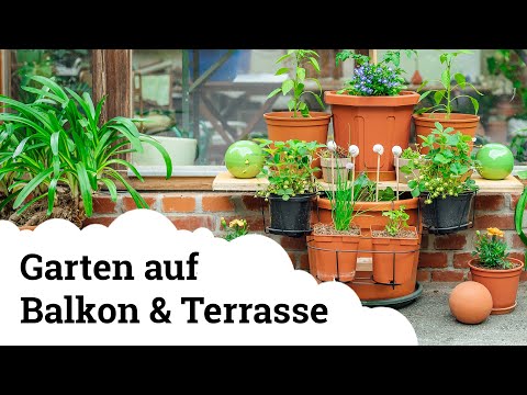 Video: Wie man die Terrasse mit Pflanzen schmückt
