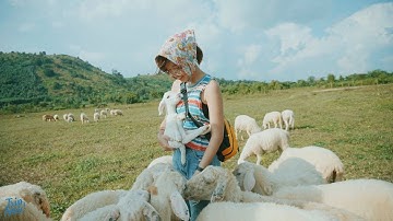 VŨNG TÀU | Khám phá Đồng Cừu Suối Nghệ