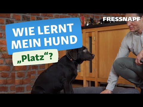 Hundekommando: Platz | Wir zeigen euch wie es geht