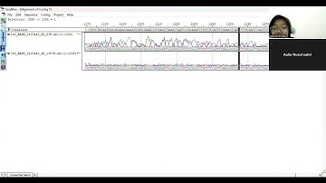 Praktikum Bioinformatika Objek 5 Seqman, Bioedit - 6 KBI