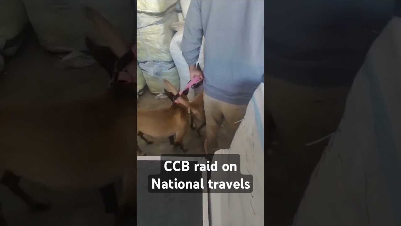 CCB raid on zameer national travels| drugs inspection